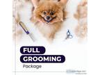 Best Dog Grooming Services in Noida