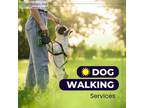 Dog Walking in Gurgaon For Affordable Prices