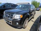 2009 Ford Escape Limited AWD Limited 4dr SUV