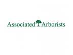 For Commercial Tree Service Visit Associated Arborist