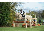 1/2 Lease on Reliable Eventing School Master