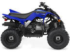 2023 Yamaha Raptor 90