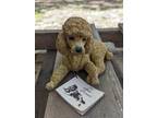 Vintage Handcrafted Collector Edition " Mini Kennel" Apricot Poodle Figurine -