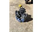 7 7/8” TRICONE DRILL Bit water gas oil mining 7 7/8 made