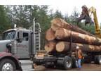 Logging Company Washington Timber Harvesting Buying and Selling Logs