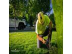 Expert Plant Health Care Services By Associated Arborists