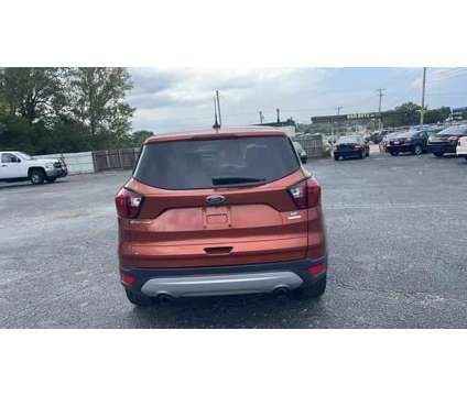 2019 Ford Escape for sale is a Orange 2019 Ford Escape Car for Sale in Raytown MO