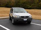 2007 Ford Escape XLT