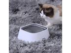 Portable water bowl for cats
