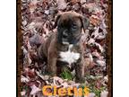 Cletus