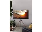 Tech Orbits Artistic Easel 45 - 65 Inch Screen - Portable - Opportunity