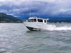 2023 Raider Offshore 280 Boat for Sale