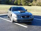 2004 Ford Mustang Base