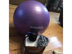 RGGD RGGL Purple Exercise Ball Pump - Opportunity