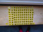 Vtg lot of 100 HASCO YELLOW metal tags for hogs, cattle - Opportunity