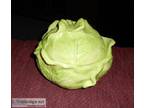 Holland Mold Ceramic CabbageLettuce Dish or Soup Tureen