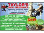 Residential and Commercial Tree Removal-Land Clearing-Forestry M