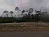 Land for Sale by owner in Eastpoint, FL