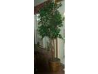 6' Silk Artificial Tree - $30 (Clovis, NM) - Opportunity