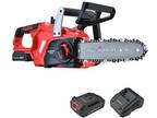 10 inch 20 V Cordless Chain Saw - Opportunity