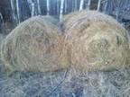 hay round, square bales - $3 (bemidji) - Opportunity