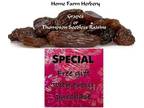 Jumbo Thompson Seedless Raisins, Order now and get & a free gift - Opportunity
