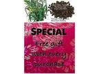 Tarragon Pepper Blend, Order now & get free shipping - Opportunity