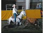 Booking roping schools - Opportunity