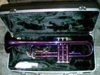 $100 OBO Trumpet Purple Chrome lacquer finish made by Titan NEW