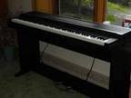 electric piano - $450 (danby ny) - Opportunity