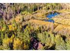 88 Shady Rest Ln, Bellvue, CO 80512