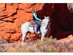 Available on [url removed] - Draft Cross - Trail, Ranch, Driving, Arena