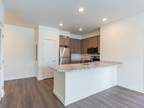 Nice 1Bed 1Bath Available Now $1495/mo