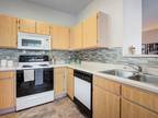 Excellent 2 Bedroom 2 Bathroom $1570/mo