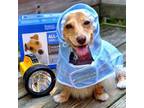 June is National Pet Preparedness Month - Vet Holly Springs MS