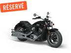 2023 INDIAN Scout Motorcycle for Sale