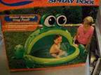 toddlers froggy swimming pool - $10 (Milton) - Opportunity