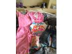 6t girls clothes - $10 (Danville/Massey) - Opportunity