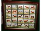 $165 Types Of Horses English Cigarette Cards Framed.