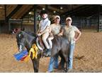 Crestview Horseback Riding Lessons - Opportunity