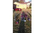 3 BIKES NEED WORK - $15 (South hsv) - Opportunity