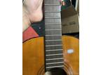 Vintage Hondo H308 Classical Acoustic Guitar with Case