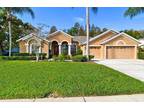 19002 St Laurent Dr, Lutz, FL 33558