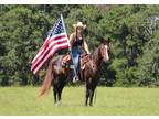 Available on [url removed] - AQHA - Neck rein, track dummy, trail ride, rope