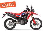 2022 Honda CRF300L Rally ABS Motorcycle for Sale