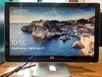 HP 2009M Widescreen LCD Monitor 20 in 1600x900 - Opportunity!