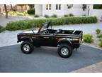 1977 Ford Bronco V8