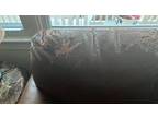 Free leather couch must pick up Sun damaged - Opportunity!