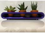 Succulant Stand Desk Decor Succulants - Opportunity