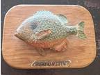Mounted Pumpkinseed Fish on Wooden Plack Made in - Opportunity